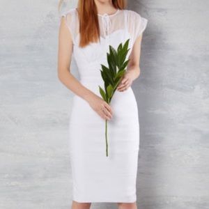 Stop Staring! Ivory Fitted dress with mesh overlay